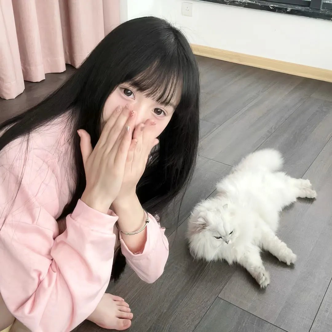 圆盘皇女 星灵节的新娘